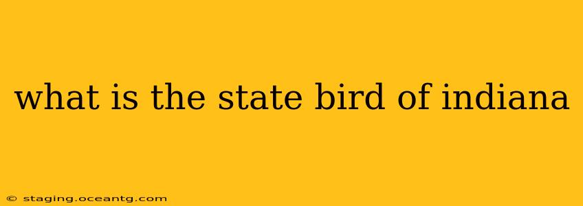 what is the state bird of indiana
