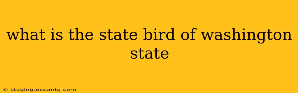 what is the state bird of washington state