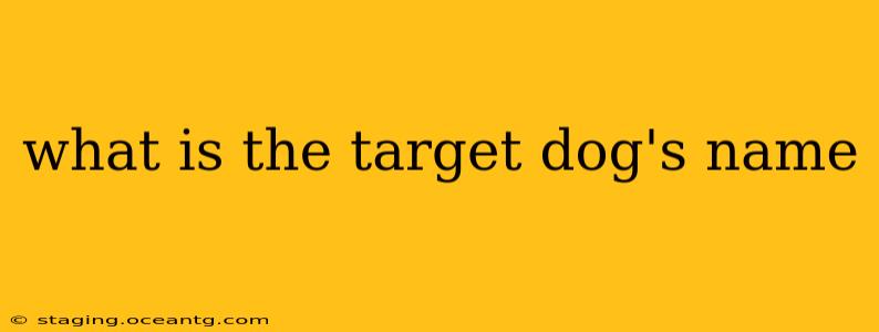 what is the target dog's name