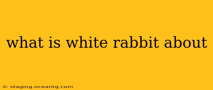 what is white rabbit about