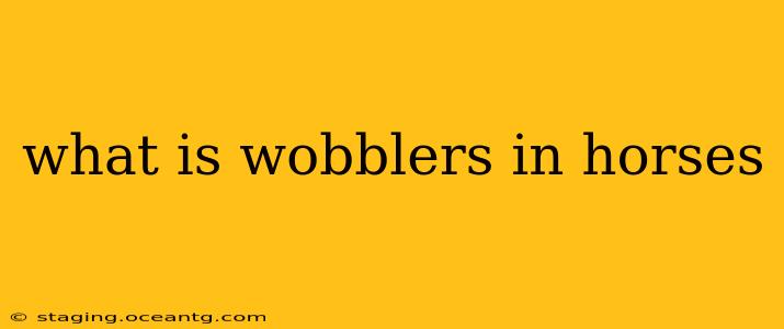 what is wobblers in horses