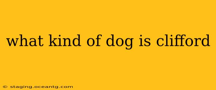 what kind of dog is clifford