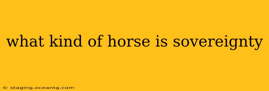 what kind of horse is sovereignty