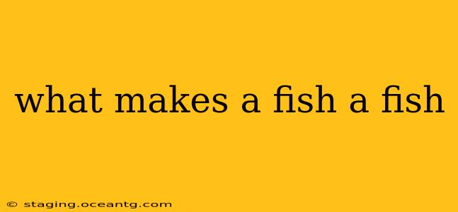 what makes a fish a fish