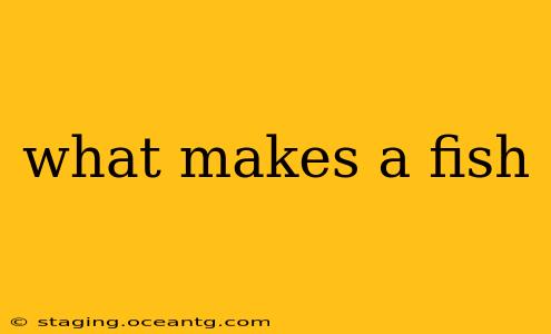 what makes a fish