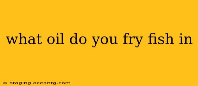 what oil do you fry fish in