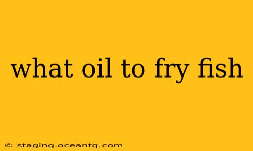 what oil to fry fish