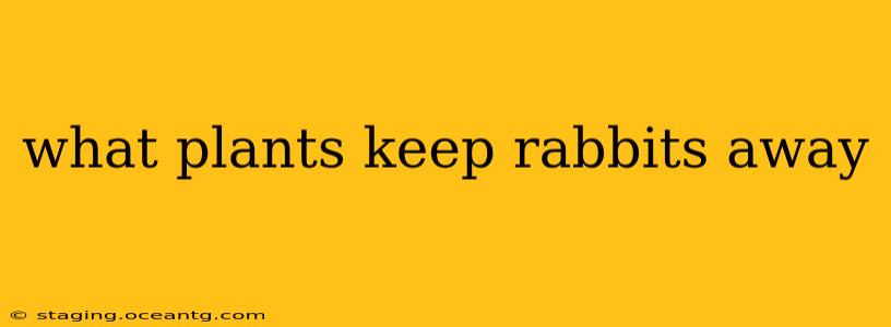 what plants keep rabbits away