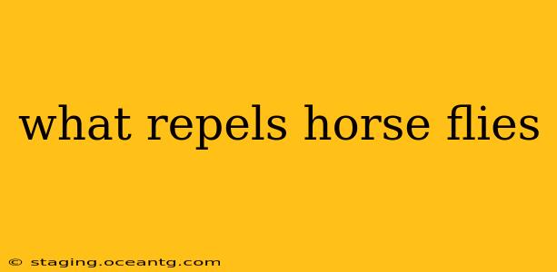 what repels horse flies