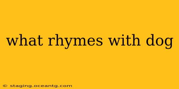 what rhymes with dog