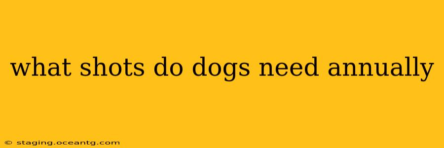 what shots do dogs need annually