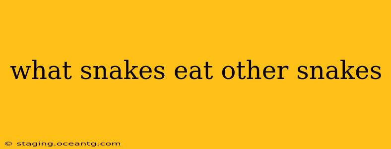 what snakes eat other snakes