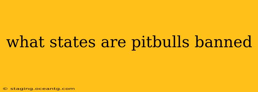 what states are pitbulls banned