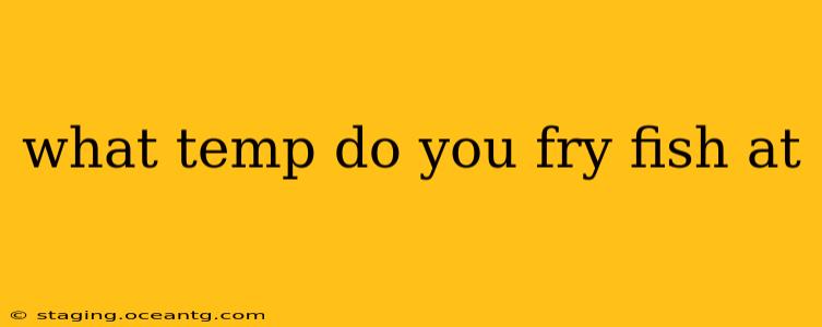what temp do you fry fish at