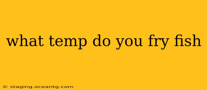 what temp do you fry fish