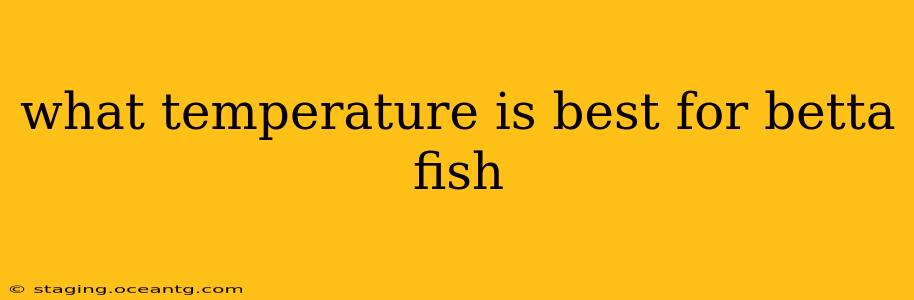 what temperature is best for betta fish