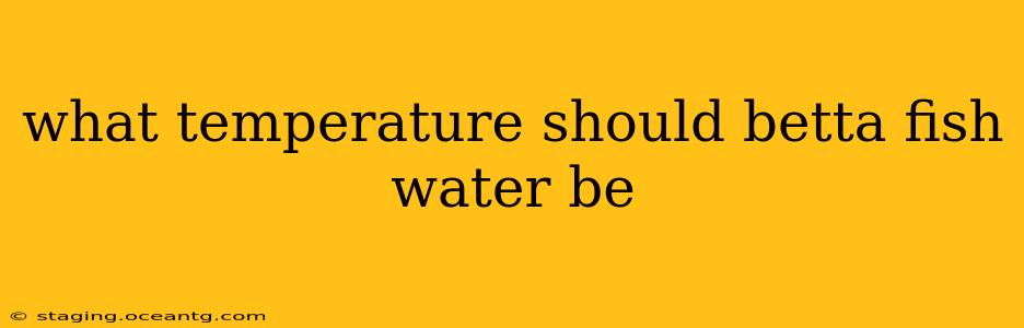 what temperature should betta fish water be
