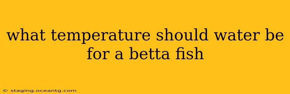 what temperature should water be for a betta fish