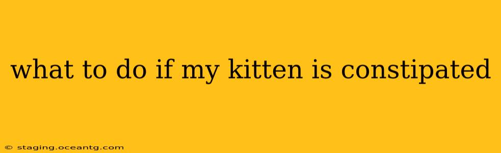 what to do if my kitten is constipated