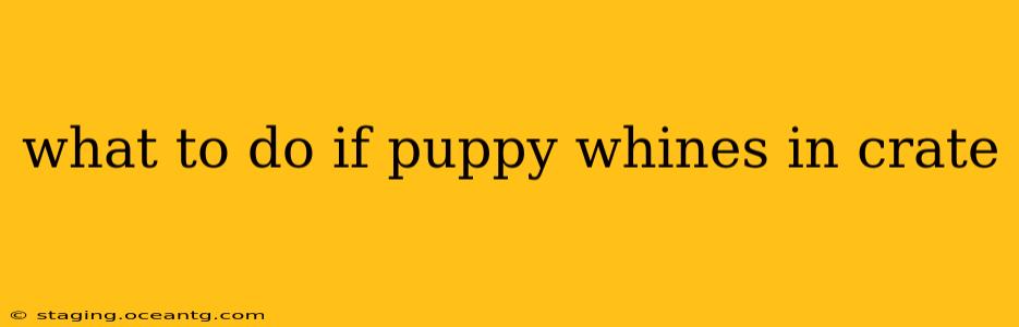what to do if puppy whines in crate