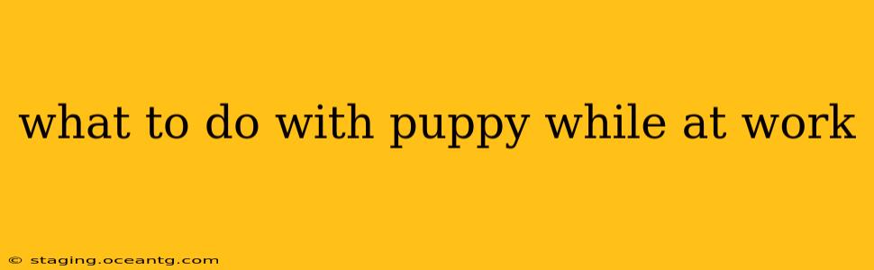what to do with puppy while at work