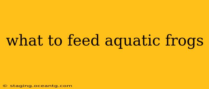 what to feed aquatic frogs