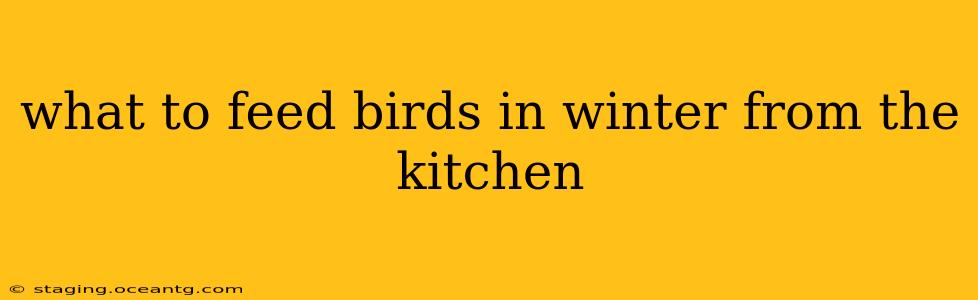 what to feed birds in winter from the kitchen