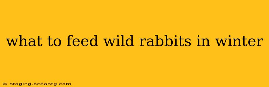 what to feed wild rabbits in winter