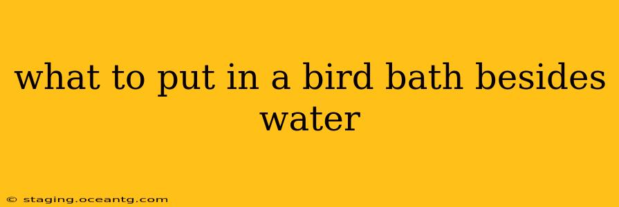 what to put in a bird bath besides water