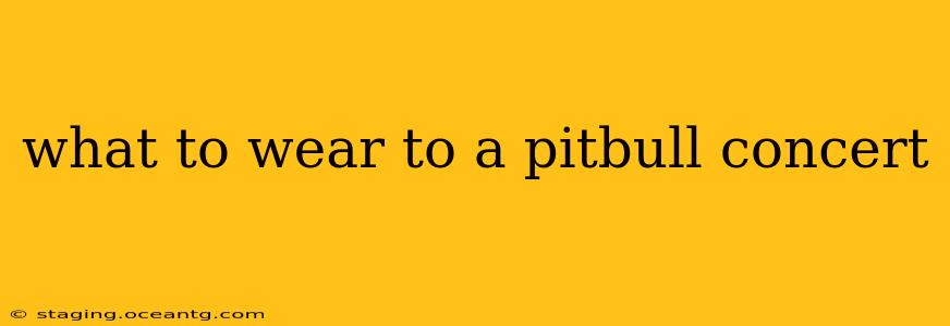 what to wear to a pitbull concert