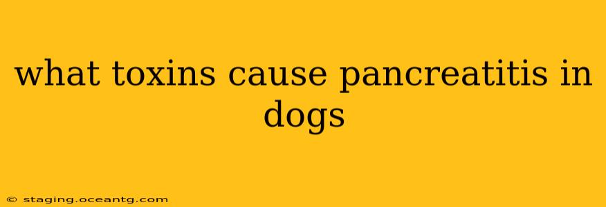 what toxins cause pancreatitis in dogs