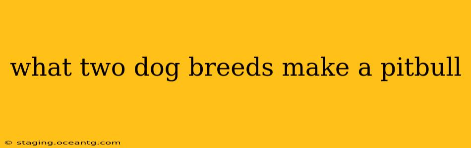 what two dog breeds make a pitbull