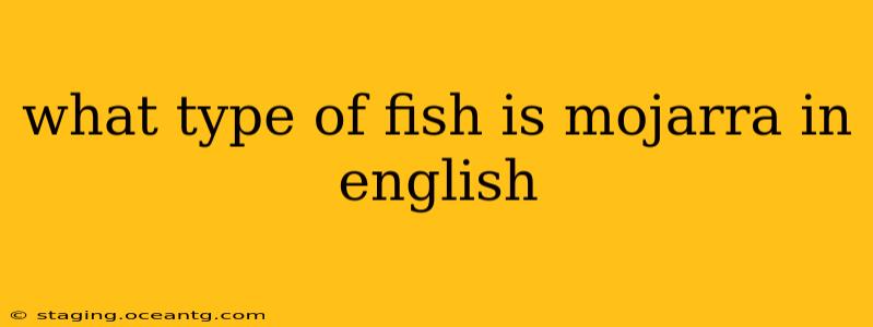 what type of fish is mojarra in english