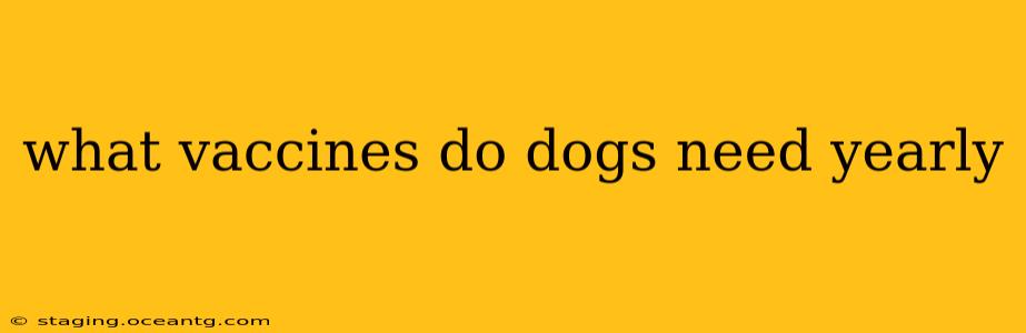 what vaccines do dogs need yearly