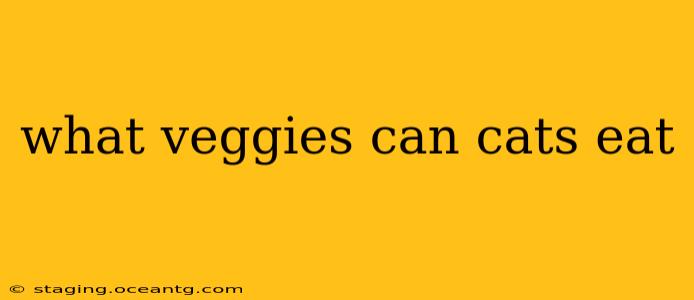 what veggies can cats eat