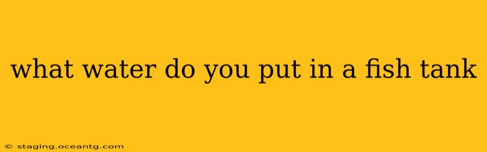 what water do you put in a fish tank