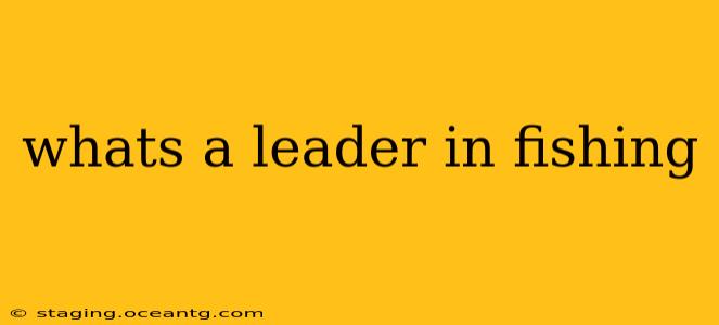 whats a leader in fishing