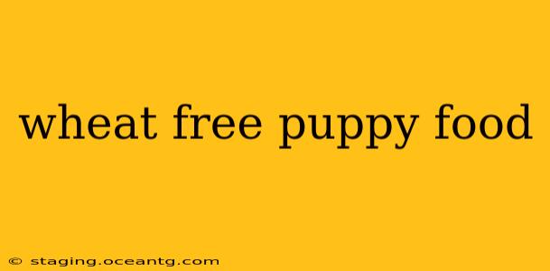 wheat free puppy food
