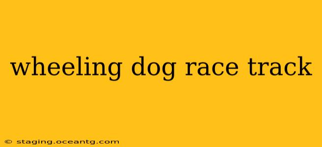 wheeling dog race track