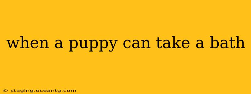 when a puppy can take a bath