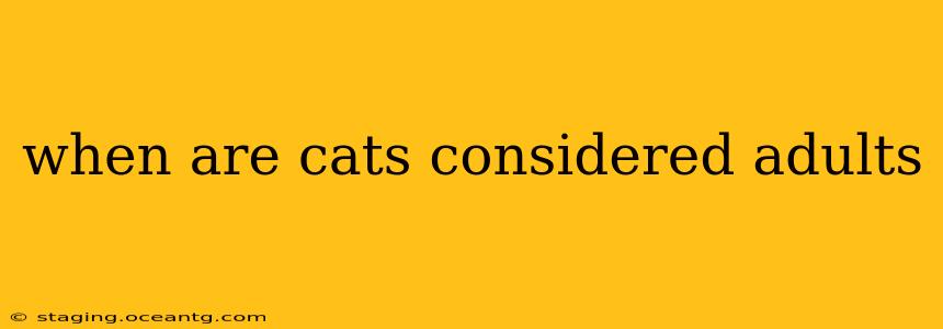 when are cats considered adults