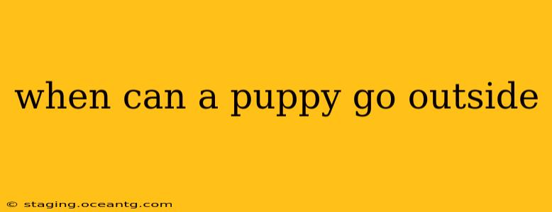when can a puppy go outside