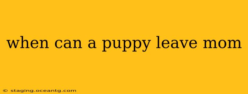when can a puppy leave mom