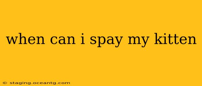when can i spay my kitten
