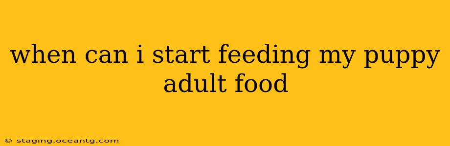 when can i start feeding my puppy adult food