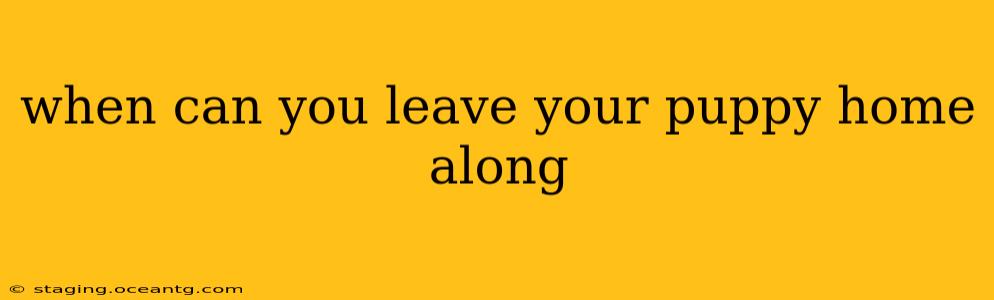 when can you leave your puppy home along