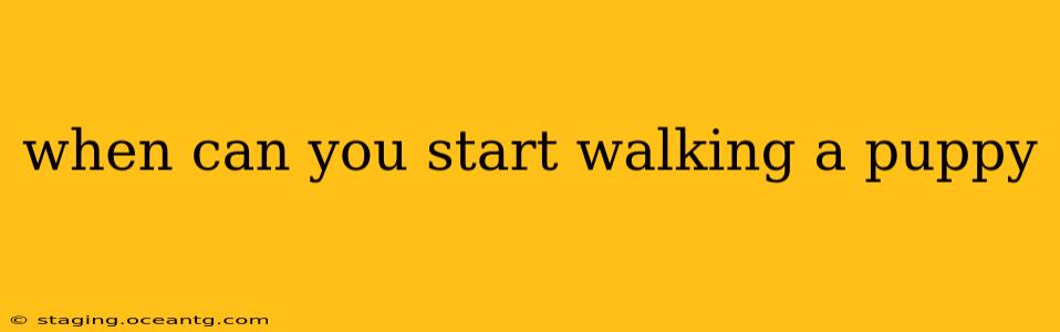 when can you start walking a puppy