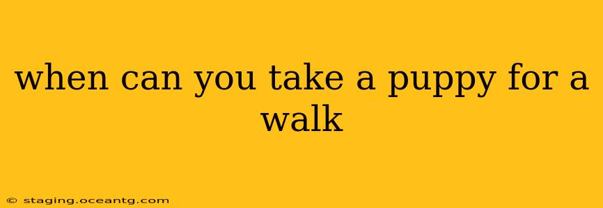 when can you take a puppy for a walk