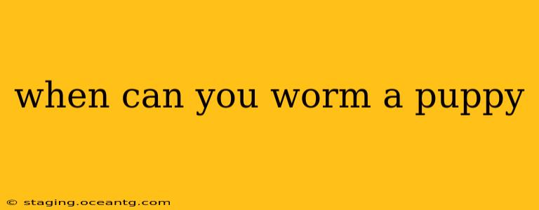 when can you worm a puppy