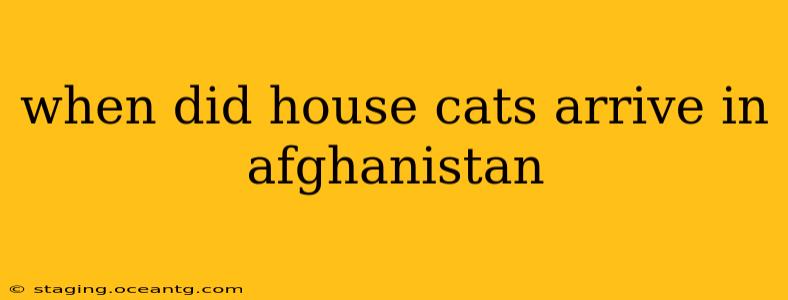 when did house cats arrive in afghanistan